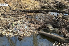 1_site-1b