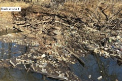 Site-1a