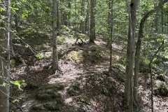 IMG_1042