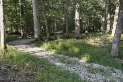 IMG_1292-1