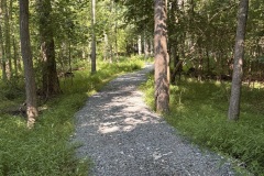 IMG_1293-1